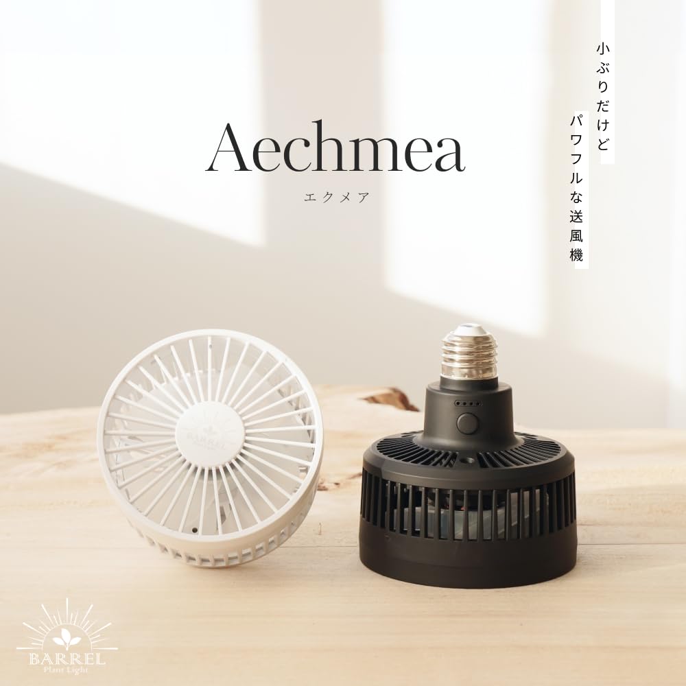 Amazon | 【BARREL公式】Aechmea（エクメア）植物ファン、ライティング